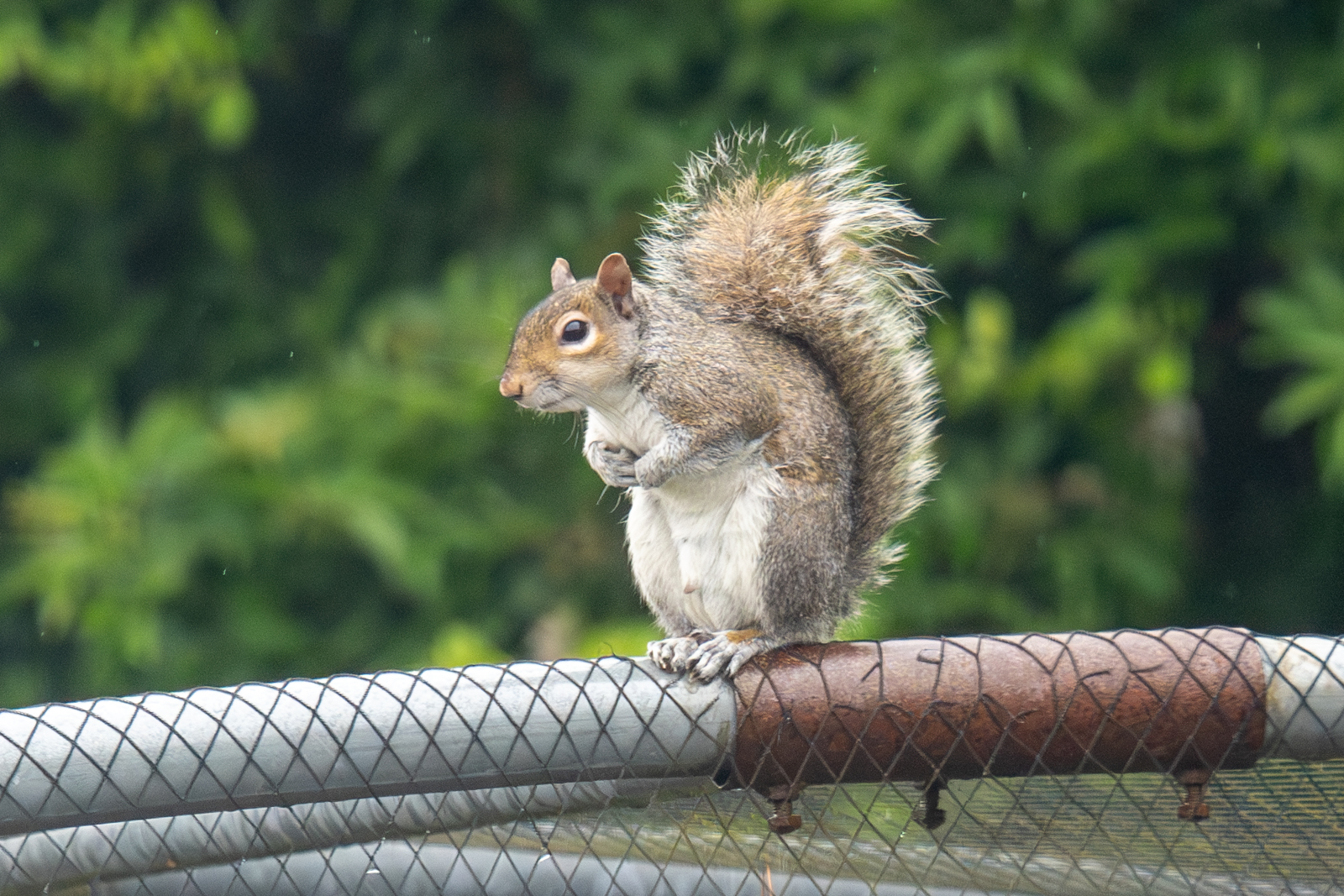Photography by Chris Allington